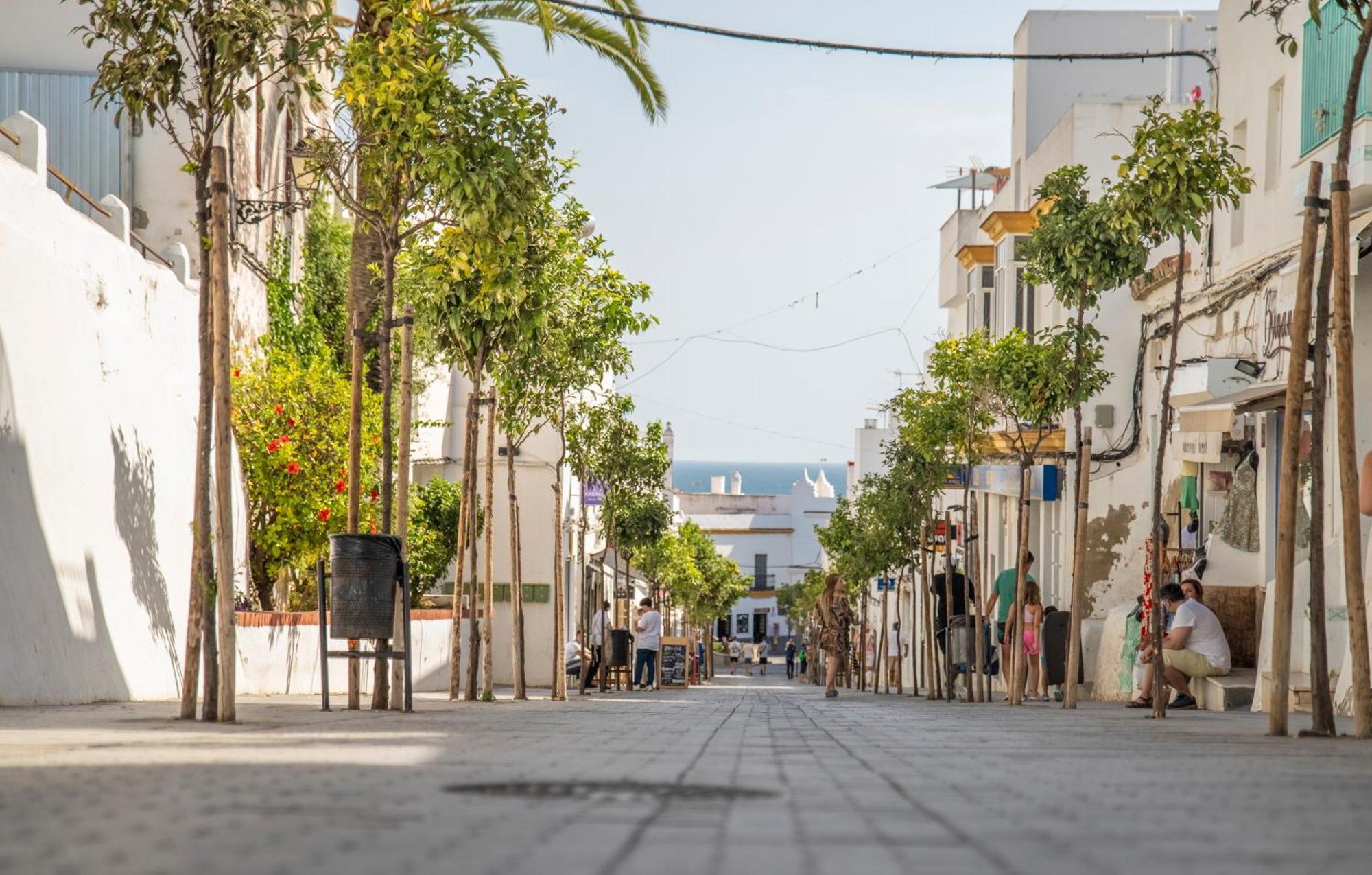 Acogedor Apartamento En Pleno Centro De Conil
